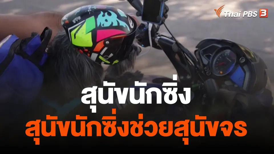 สุนัขนักซิ่งช่วยสุนัขจร