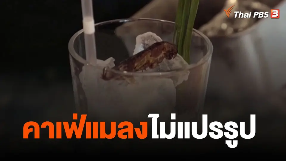 คาเฟ่แมลงไม่แปรรูป