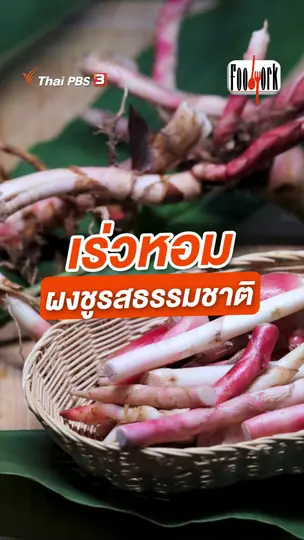 เร่วหอม ผงชูรสธรรมชาติ
