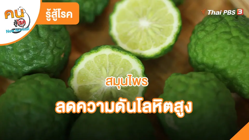 ​รู้สู้โรค : สมุนไพรลดความดันโลหิตสูง