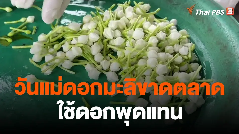 วันแม่ดอกมะลิขาดตลาดใช้ดอกพุดแทน จ.ขอนแก่น