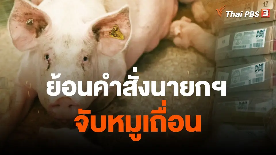 ​ย้อนคำสั่งนายกฯ จับหมูเถื่อน