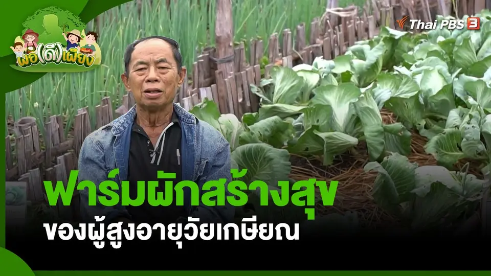 พอดีพอเพียง : ฟาร์มผักสร้างสุข ของผู้สูงอายุวัยเกษียณ