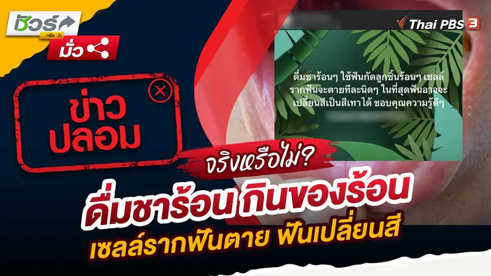 ชัวร์หรือมั่ว : ข่าวปลอม!! ดื่มชาร้อน กินของร้อน เซลล์รากฟันตาย ฟันเปลี่ยนสี