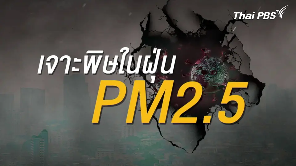 คนไทยเสียชีวิตจากมลพิษทางอากาศ ปีละ 30,000 คน