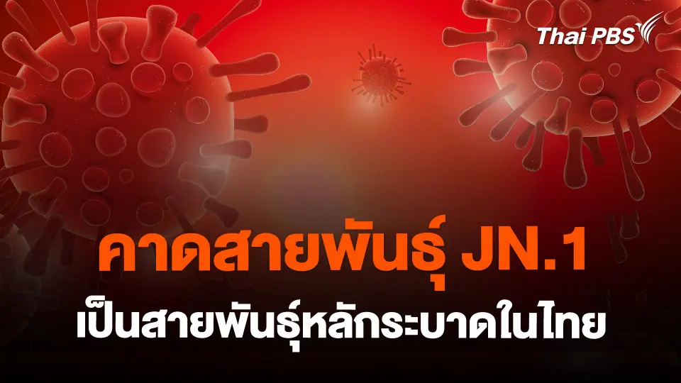 สธ. เผยโควิดคาดสายพันธุ์ JN.1 คาดเป็นสายพันธุ์หลักระบาดในไทย