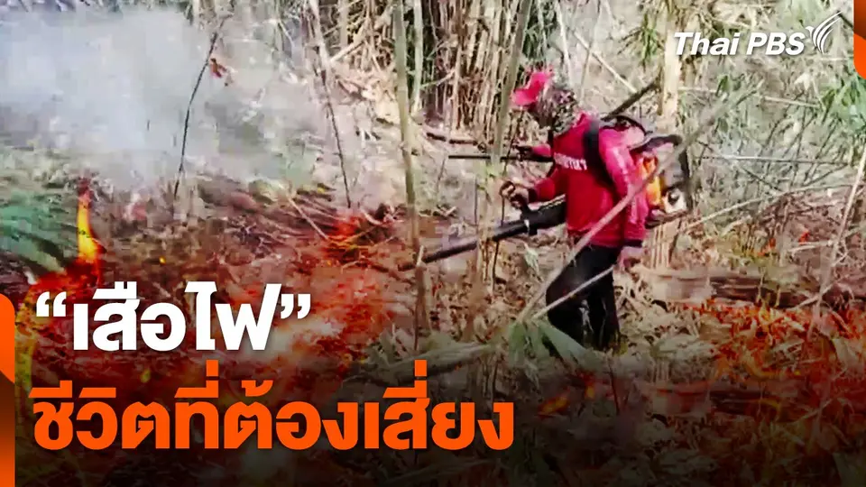 "เสือไฟ" ชีวิตที่ต้องเสี่ยง