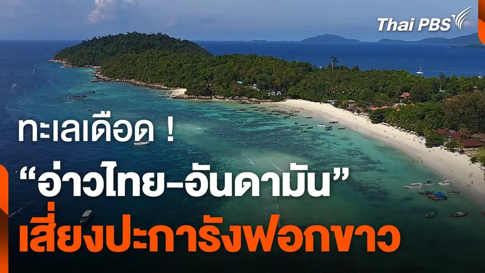 ทะเลเดือด ! "อ่าวไทย - อันดามัน" เสี่ยงปะการังฟอกขาว