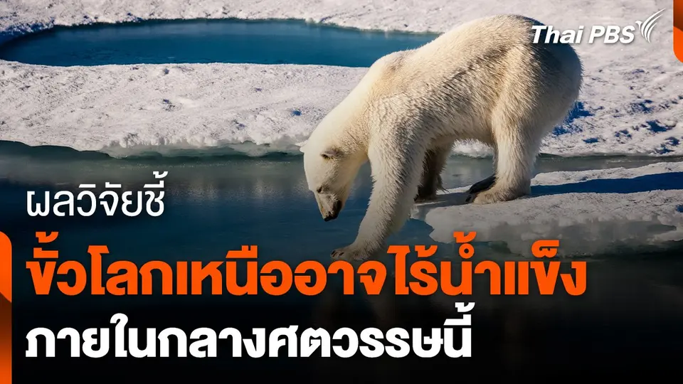 วิจัยชี้ขั้วโลกเหนืออาจไร้น้ำแข็งกลางศตวรรษนี้