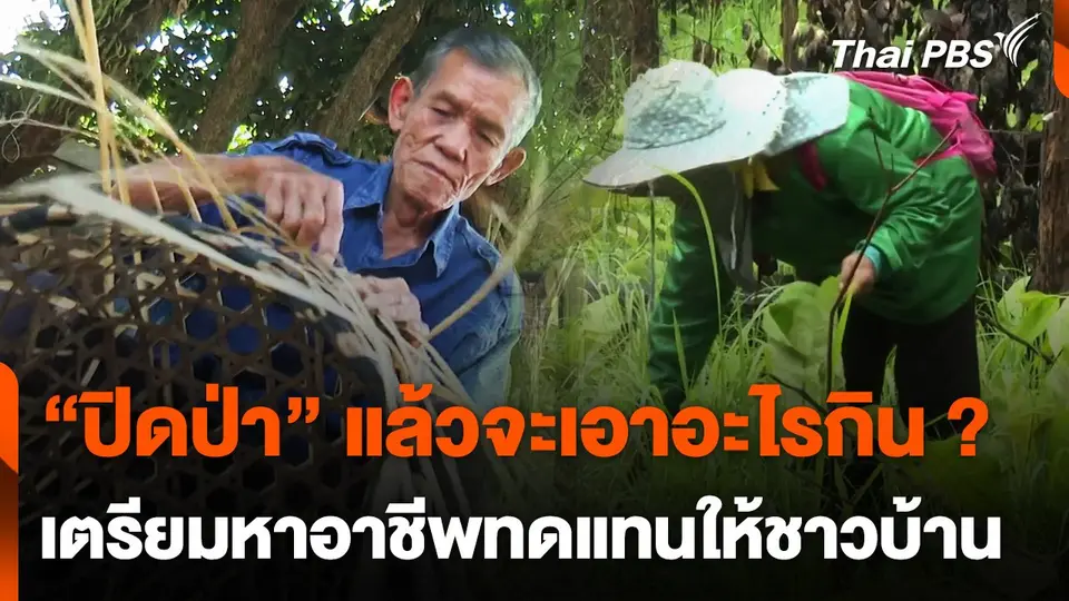 เข้ม "ปิดป่า" เตรียมหาอาชีพทดแทนให้ชาวบ้าน