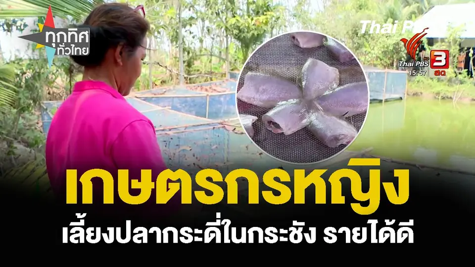 เกษตรกรหญิง เลี้ยงปลากระดี่ในกระชัง รายได้ดี