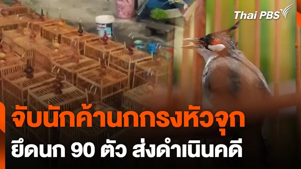 จับนักค้านกกรงหัวจุกยึดนก 90 ตัว ส่งดำเนินคดี