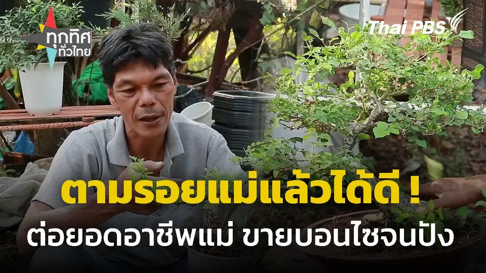 ต่อยอดอาชีพแม่ ทำบอนไซขาย จ.กำแพงเพชร