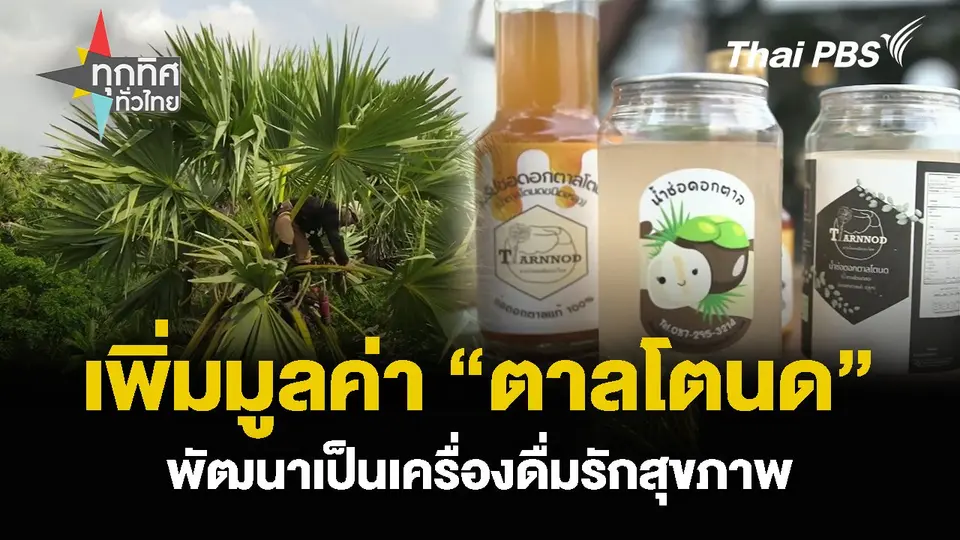 เพิ่มมูลค่า “ตาลโตนด” พัฒนาเป็นเครื่องดื่มรักสุขภาพ  ทุกทิศทั่วไทย.mp4
