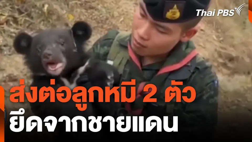 ส่งต่อลูกหมี 2 ตัว ยึดจากชายแดน