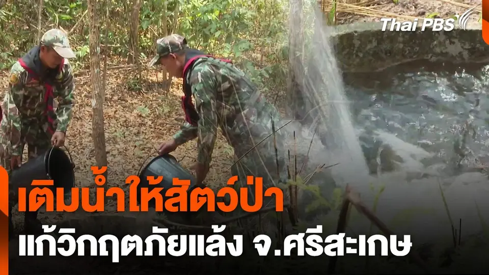 เติมน้ำให้สัตว์ป่าแก้วิกฤตภัยแล้ง