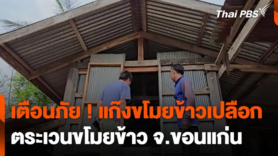 เตือนภัย ! แก๊งขโมยข้าวเปลือกตระเวนขโมยข้าว จ.ขอนแก่น