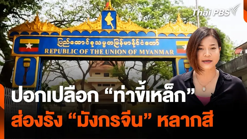 ปอกเปลือก “ท่าขี้เหล็ก” ส่องรังมังกรจีนหลากสี