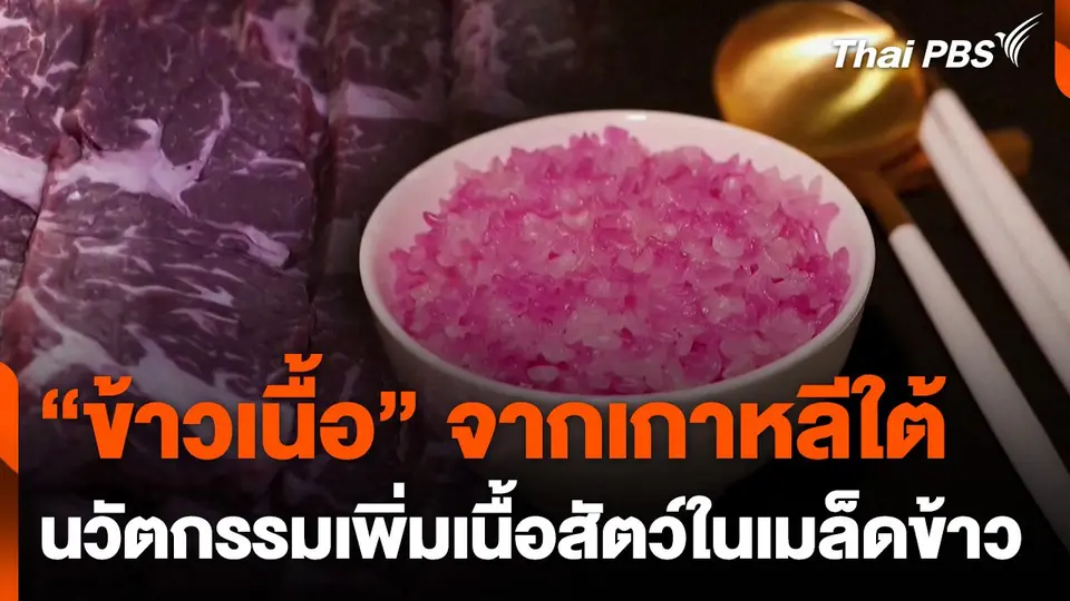 "ข้าวเนื้อ" นวัตกรรมเพิ่มเนื้อสัตว์ในเม็ดข้าว เกาหลีใต้