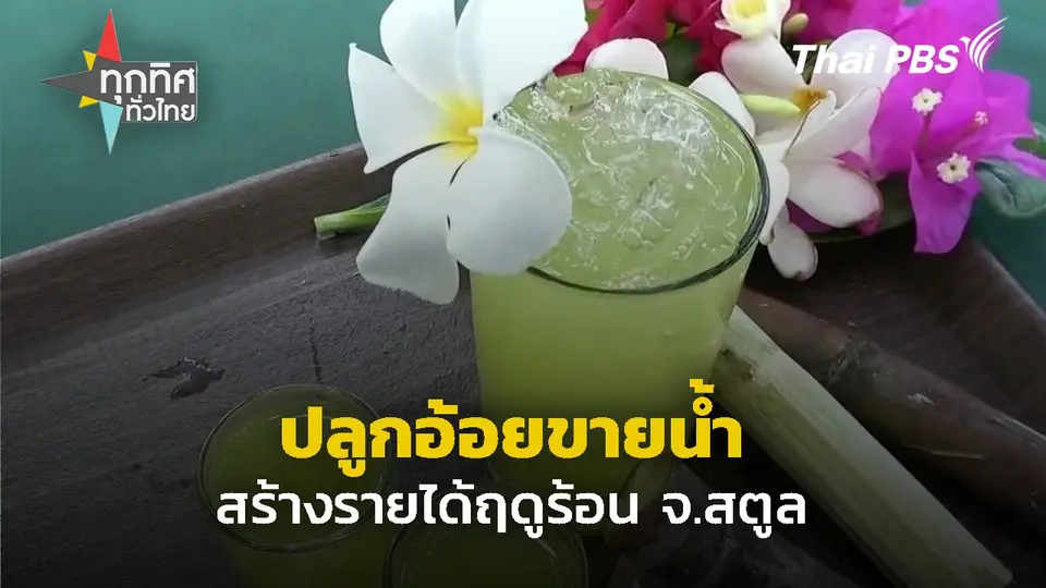 ปลูกอ้อยขายน้ำ สร้างรายได้ฤดูร้อน จ.สตูล