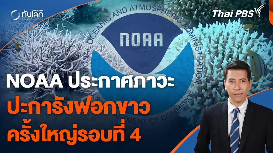 NOAA ประกาศภาวะปะการังฟอกขาวครั้งใหญ่รอบที่ 4