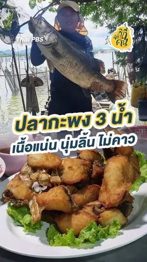 "ปลากะพง 3 น้ำ เนื้อแน่น นุ่มลิ้น ไม่คาว