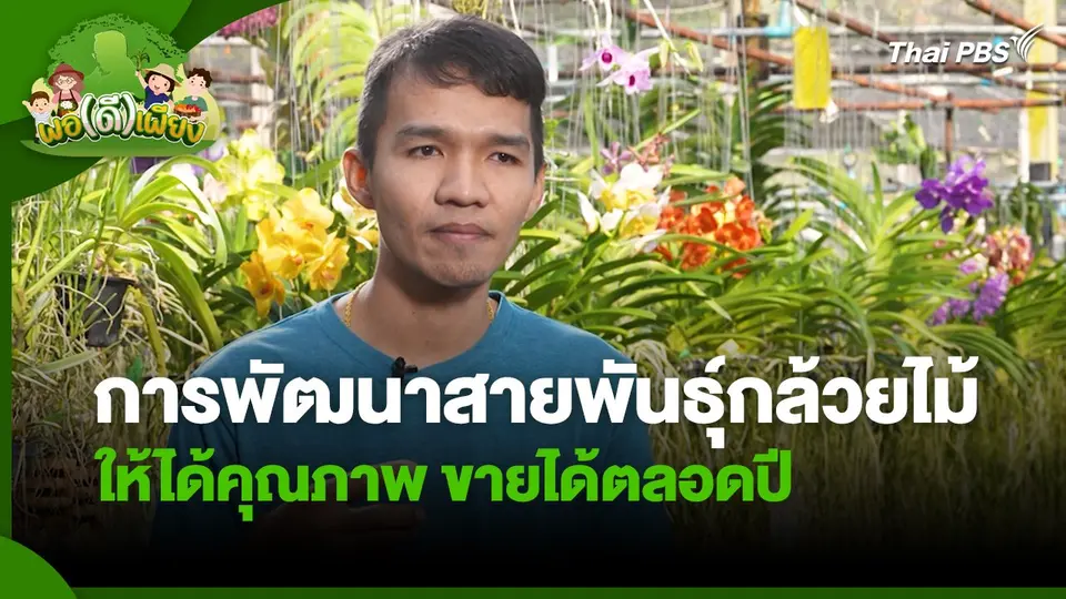 พอดีพอเพียง : การพัฒนาสายพันธุ์กล้วยไม้ให้ได้คุณภาพ ขายได้ตลอดปี
