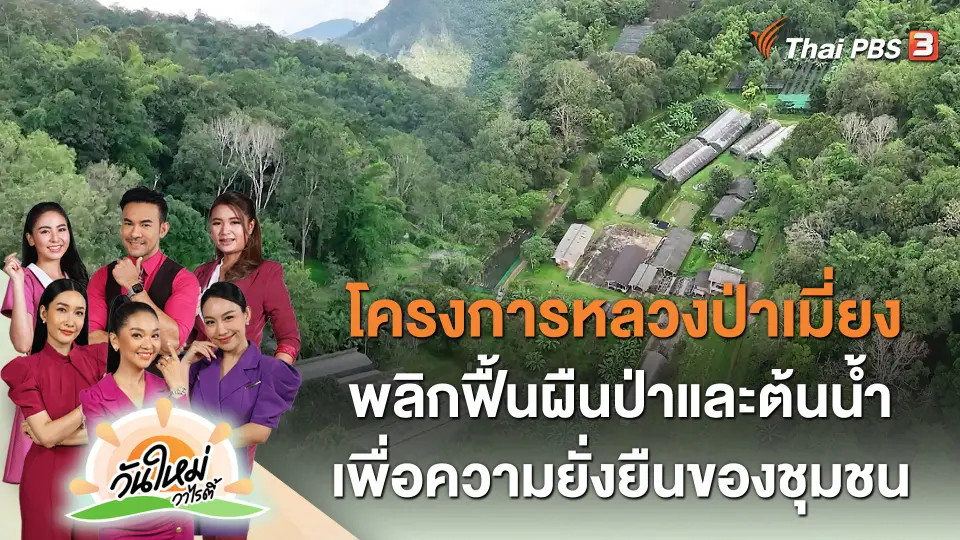 โครงการหลวงป่าเมี่ยง พลิกฟื้นผืนป่าและต้นน้ำ เพื่อความยั่งยืนของชุมชน