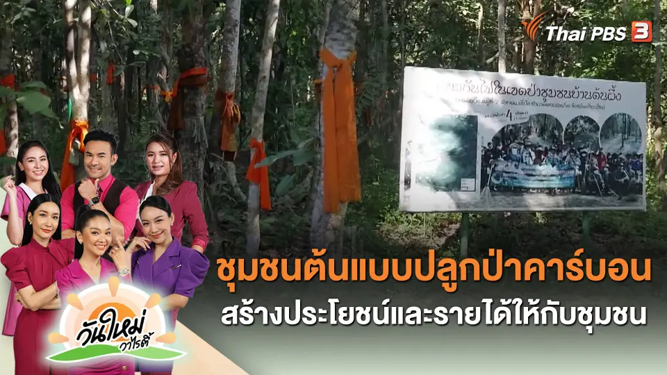 ชุมชนต้นแบบปลูกป่าคาร์บอน สร้างประโยชน์และรายได้ให้กับชุมชน
