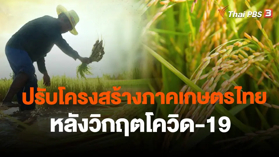 จับสัญญาณเศรษฐกิจ : ปรับโครงสร้างภาคเกษตรไทย หลังวิกฤตโควิด-19