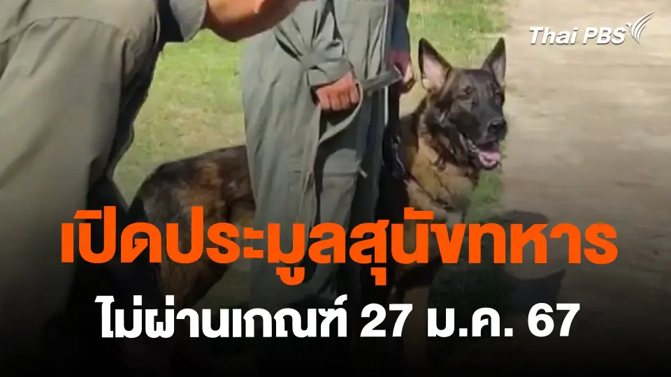 ​เปิดประมูลสุนัขทหารไม่ผ่านเกณฑ์ 27 ม.ค. 67