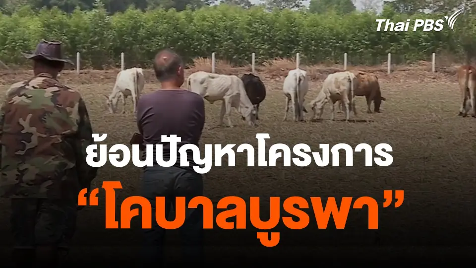​TheEXIT : ย้อนปัญหาโครงการ "โคบาลบูรพา"