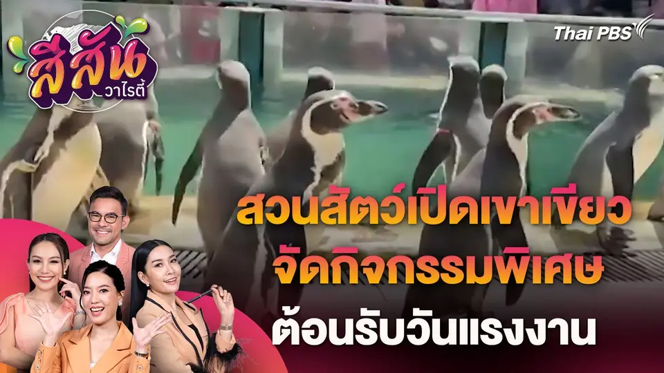 สีสันวาไรตี้ (30 เม.ย. 67)