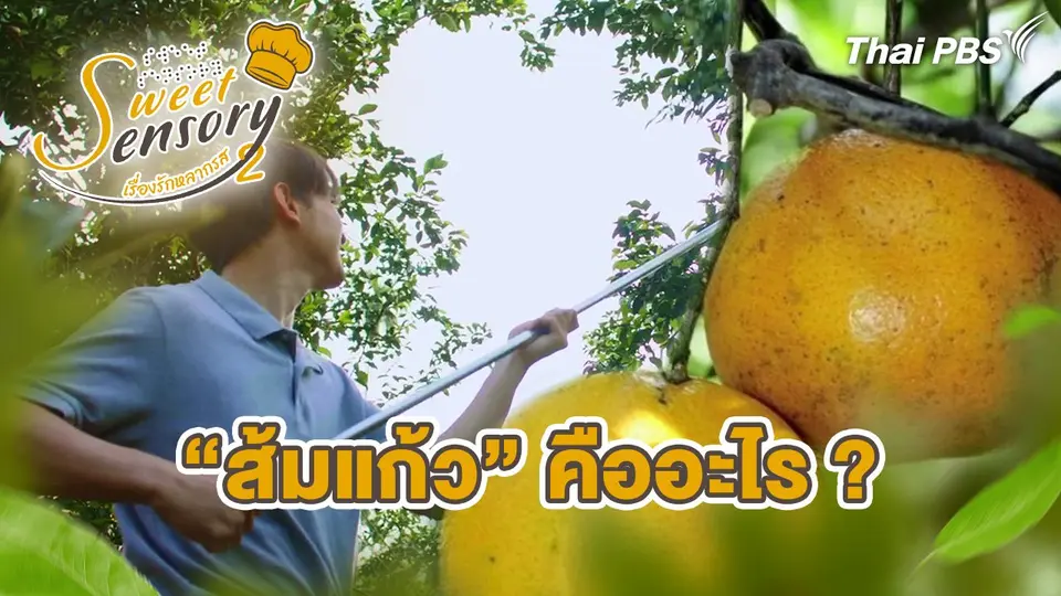 ส้มแก้ว คืออะไร ?