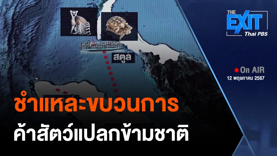 The EXIT : ชำแหละขบวนการค้าสัตว์แปลกข้ามชาติ