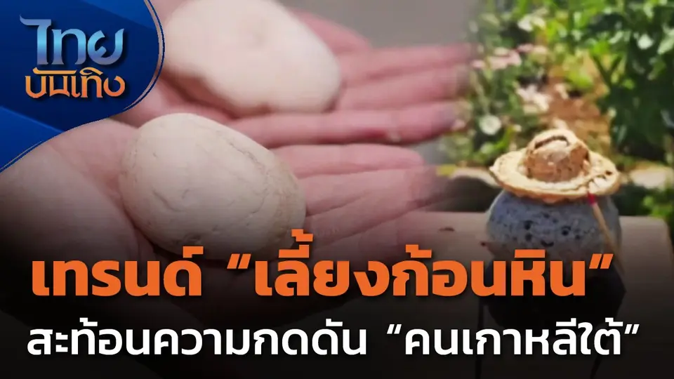 "เลี้ยงก้อนหิน" เทรนด์สะท้อนความกดดันคนแดนโสม