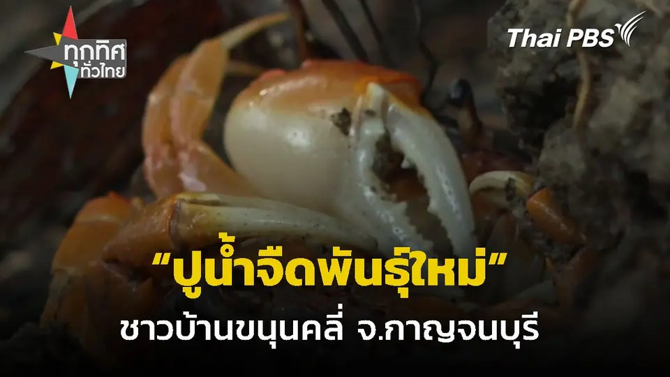 อนุรักษ์ปูสายพันธุ์ใหม่ในสวนเกษตร