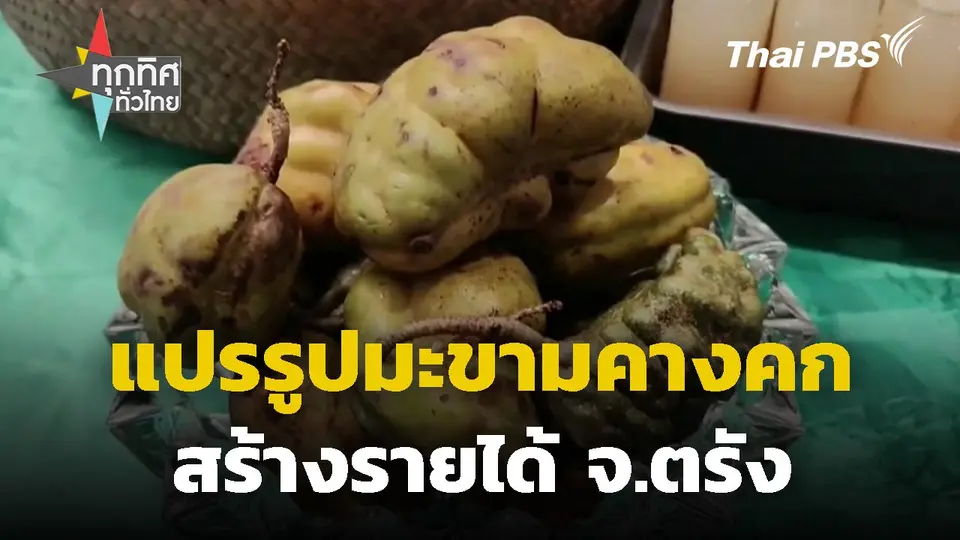 นักเรียนแปรรูปมะขามคางคกสร้างรายได้ จ.ตรัง