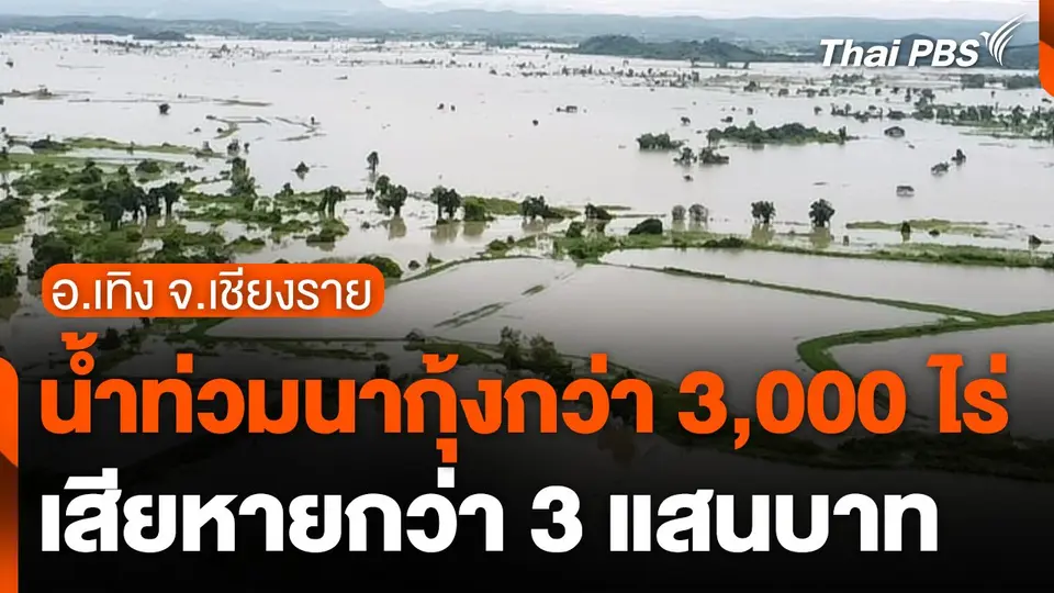 น้ำท่วมนากุ้ง อ.เทิง จ.เชียงราย กว่า 3,000 ไร่