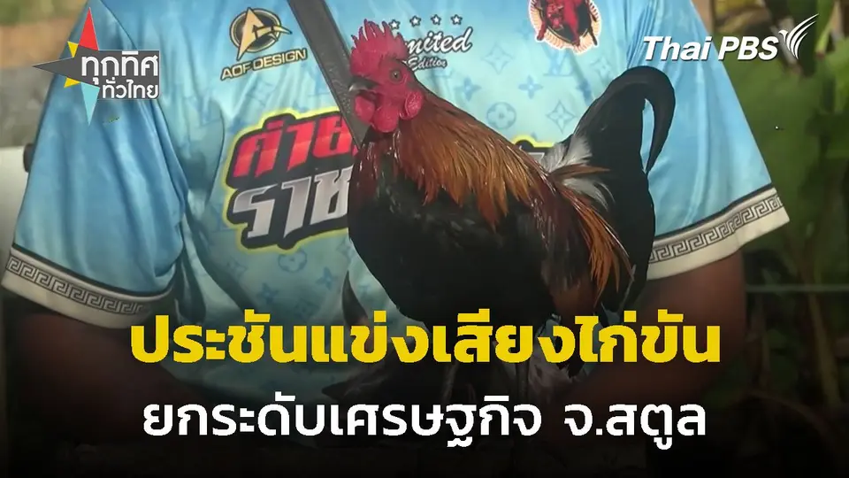 ประชันแข่งเสียงไก่ขันยกระดับเศรษฐกิจ จ.สตูล