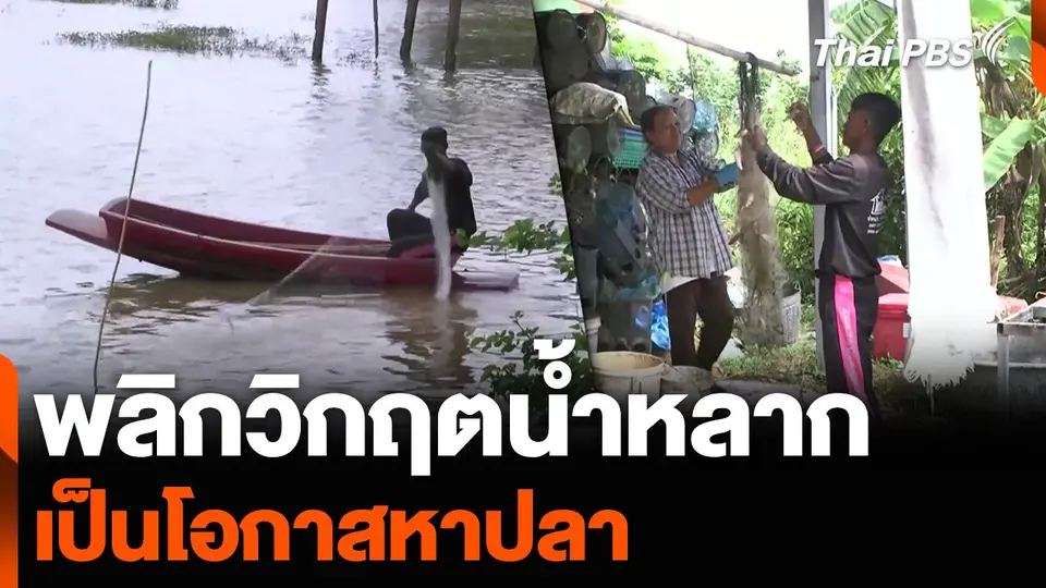 พลิกวิกฤตน้ำหลาก เป็นโอกาสหาปลา