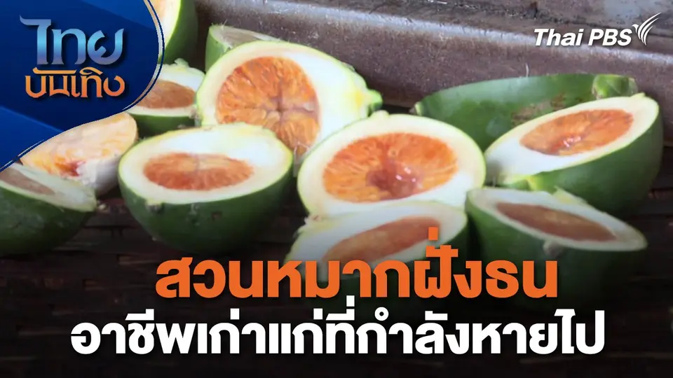 อิ่มมนต์รส : สวนหมากฝั่งธน อาชีพเก่าแก่ที่กำลังหายไป