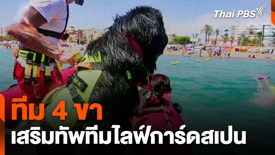 ทีม 4 ขา เสริมทัพทีมไลฟ์การ์ดสเปน