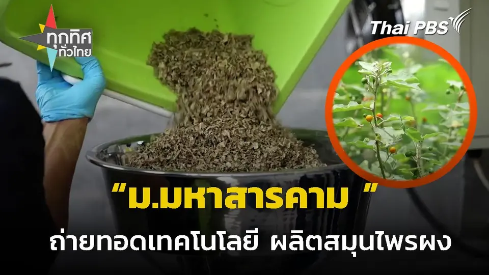 ม.มหาสารคาม ถ่ายทอดเทคโนโลยีผลิตสมุนไพรผง