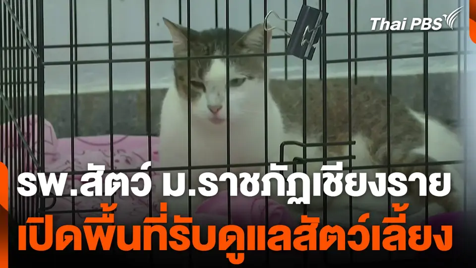 รพ.สัตว์ ม.ราชภัฏเชียงราย เปิดพื้นที่รับดูแลสัตว์เลี้ยง