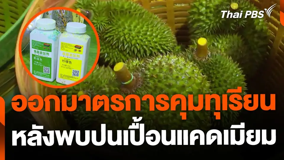 เตรียมออกมาตรการควบคุมทุเรียน หลังพบปนเปื้อนแคดเมียม
