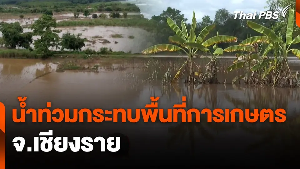 สถานีร้องเรียน : น้ำท่วมกระทบพื้นที่การเกษตร จ.เชียงราย