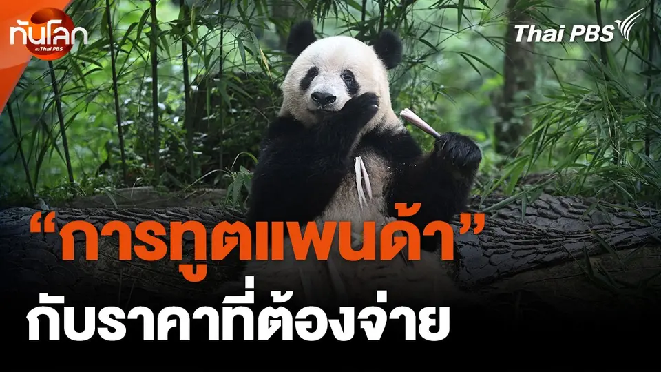 การทูตแพนด้ากับราคาที่ต้องจ่าย
