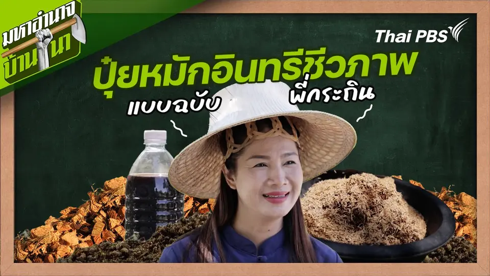 สูตรลับฉบับบ้านนา : ปุ๋ยหมักอินทรีชีวภาพแบบฉบับพี่กระถิน