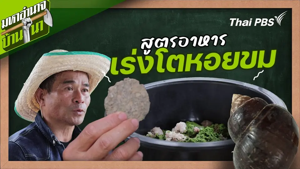 สูตรลับฉบับบ้านนา : สูตรอาหารเร่งโตหอยขม